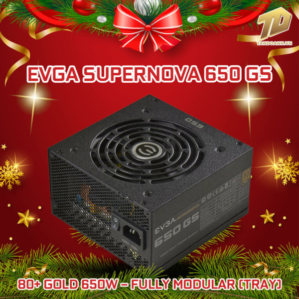 EVGA SuperNOVA 650 GS – 80+ GOLD 650W – Fully Modular (TRAY)