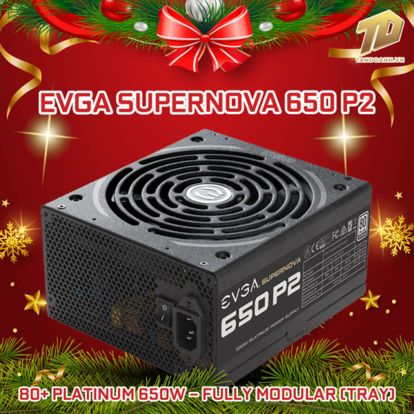 EVGA SuperNOVA 650 P2 – 80+ Platinum 650W – Fully Modular (TRAY)