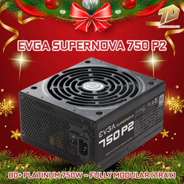 EVGA SuperNOVA 750 P2 – 80+ Platinum 750W – Fully Modular (TRAY)
