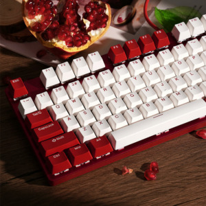 Rapoo V500Pro White Red H2 Rapoo V500 Pro Red And White - Gaming Mechanical Keyboard