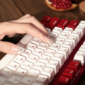Rapoo V500Pro White Red H4 Rapoo V500 Pro Red And White - Gaming Mechanical Keyboard