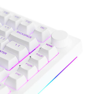 AKKO 5075B Plus White H5 AKKO 5075B Plus White - Multimodes / RGB / Gasket mount