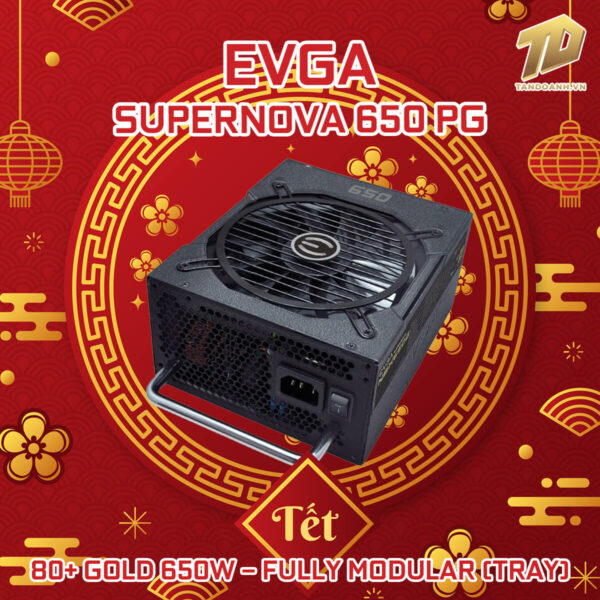 EVGA SuperNOVA 650 PG – 80+ GOLD 650W – Full Modular (TRAY)