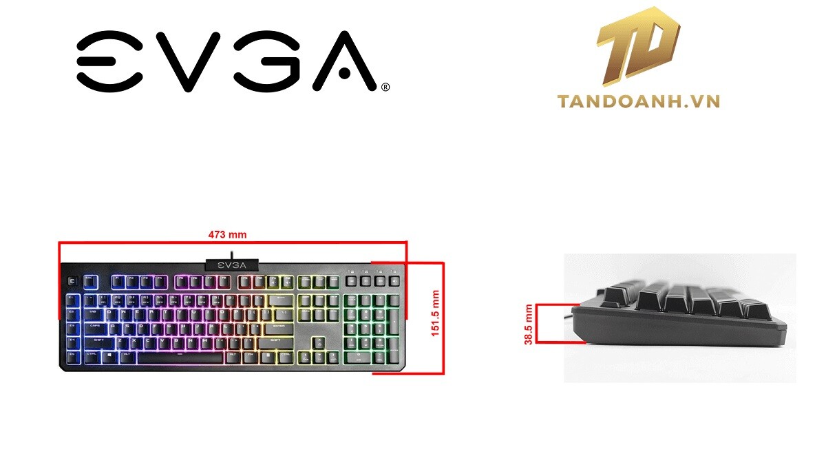 EVGA Z12 - RGB Gaming Keyboard - RGB Backlit LED - 5 Programmable Macro Keys - Dedicated Media Keys - Water Resistant EVGA Z12 - RGB Gaming Keyboard - RGB Backlit LED - 5 Programmable Macro Keys - Dedicated Media Keys - Water Resistant
