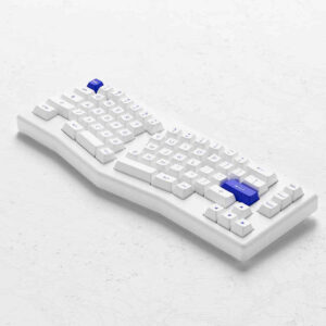 AKKO ACR Pro Alice Plus (Spray Painted White / RGB / Hotswap / AKKO CS Crystal / Gasket Mount)