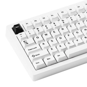 MonsGeek M1 V5 Black on white H5 MonsGeek M1 V5 Black on White (Mirror Switches – Multi mode) - Gaming Mechanical Keyboard