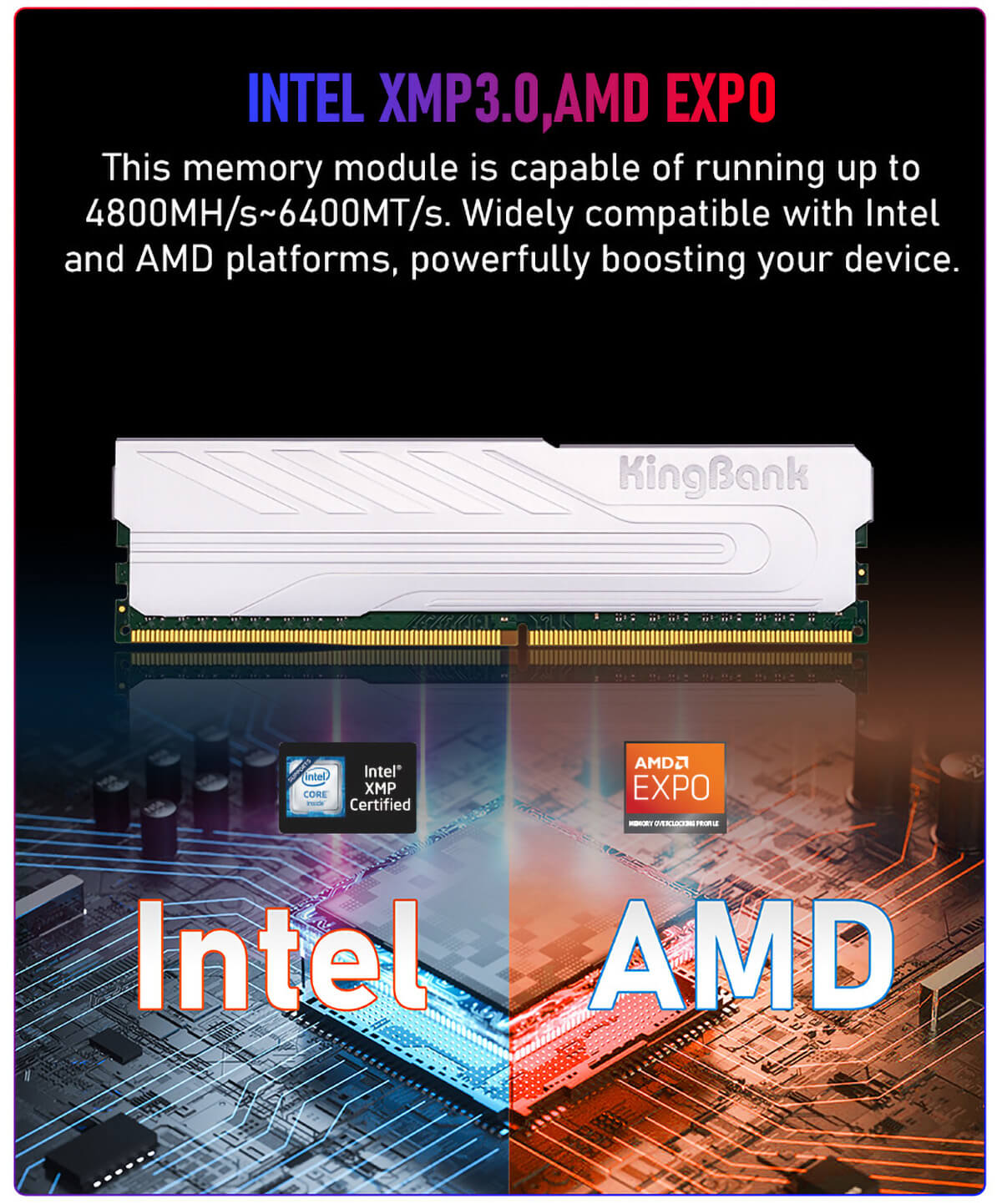 KingBank KJXS Silver - 16GB (1x16GB) DDR5 - Bus 5600MHz Cas 36